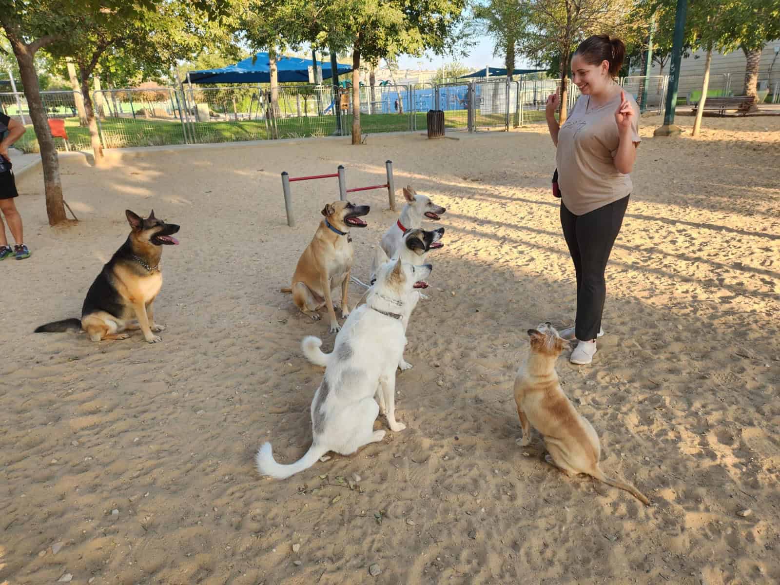 אילוף בהקשבה